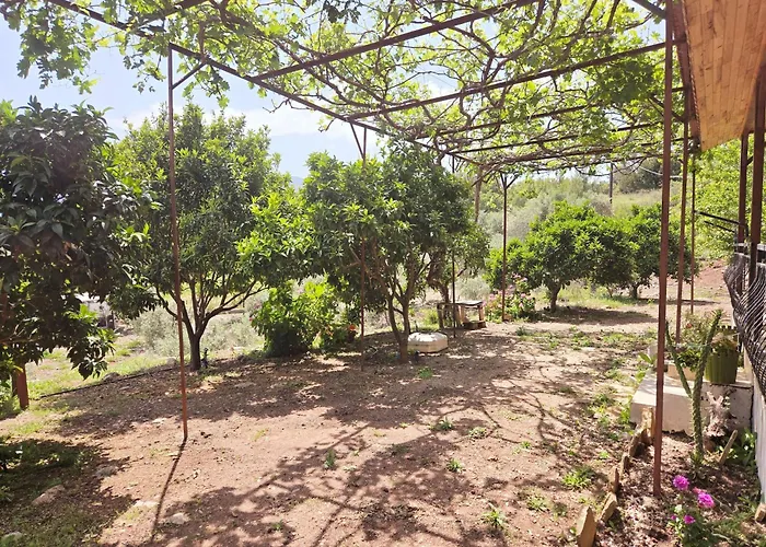 Olympos Orange Village Nature, Sea And Villa Kumluca