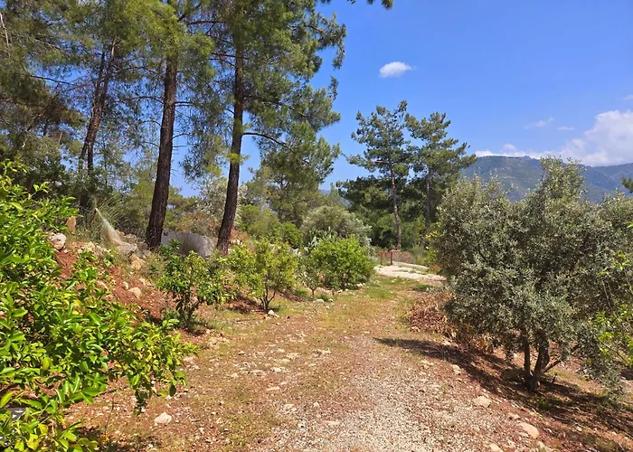 Villa Olympos Orange Village Nature, Sea And *