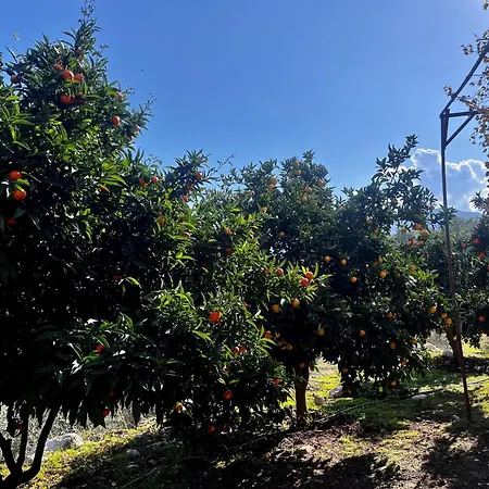 Olympos Orange Village Nature, Sea And