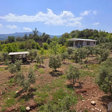 Olympos Orange Village Nature, Sea And *
