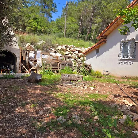 Olympos Orange Village Nature, Sea And וילה *