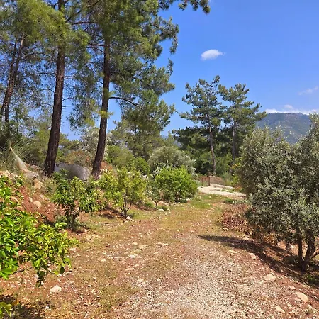וילה Olympos Orange Village Nature, Sea And *