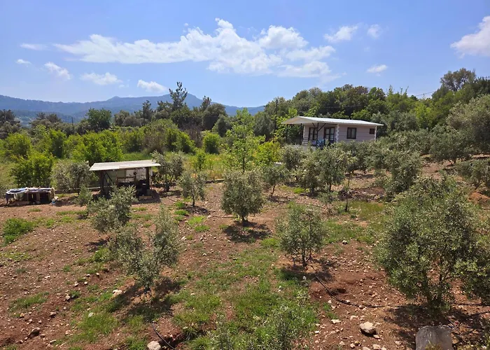 Olympos Orange Village Nature, Sea And *